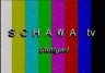 SCHAWATV.JPG